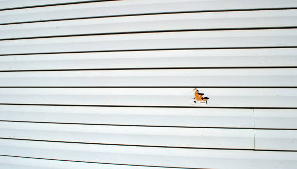 Best Aluminum Siding Installation  in New Orleans Station, LA